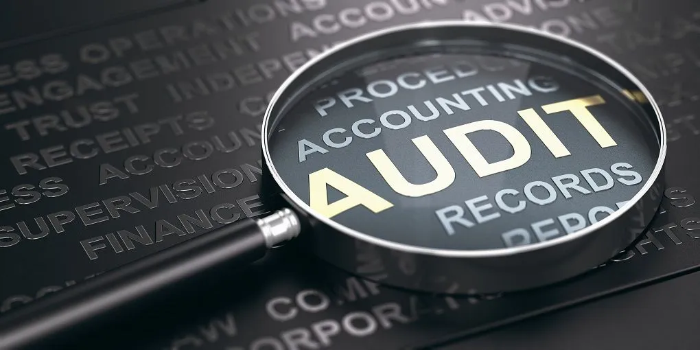 audit.jpg